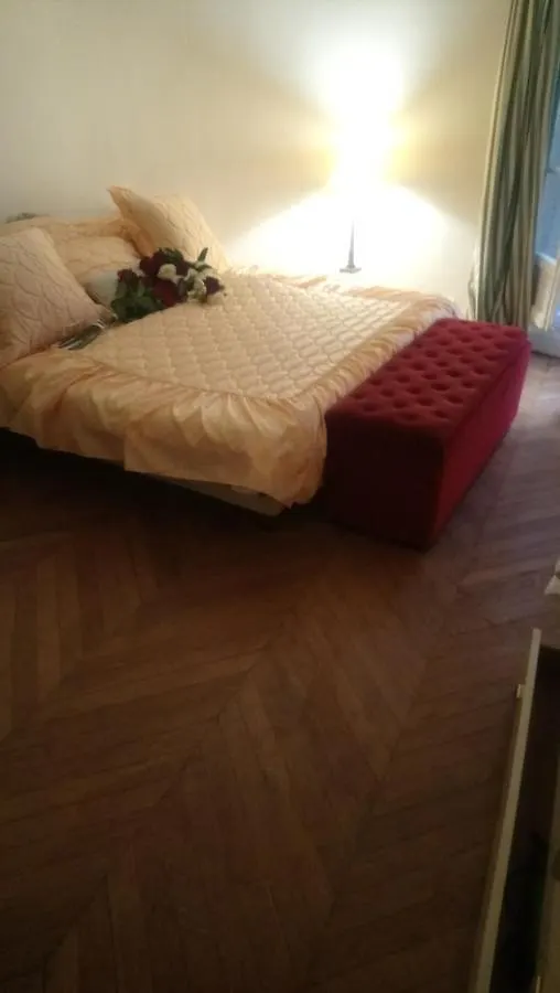 Toureifelchampselysee Daire